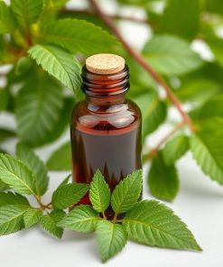 عصاره پروستات