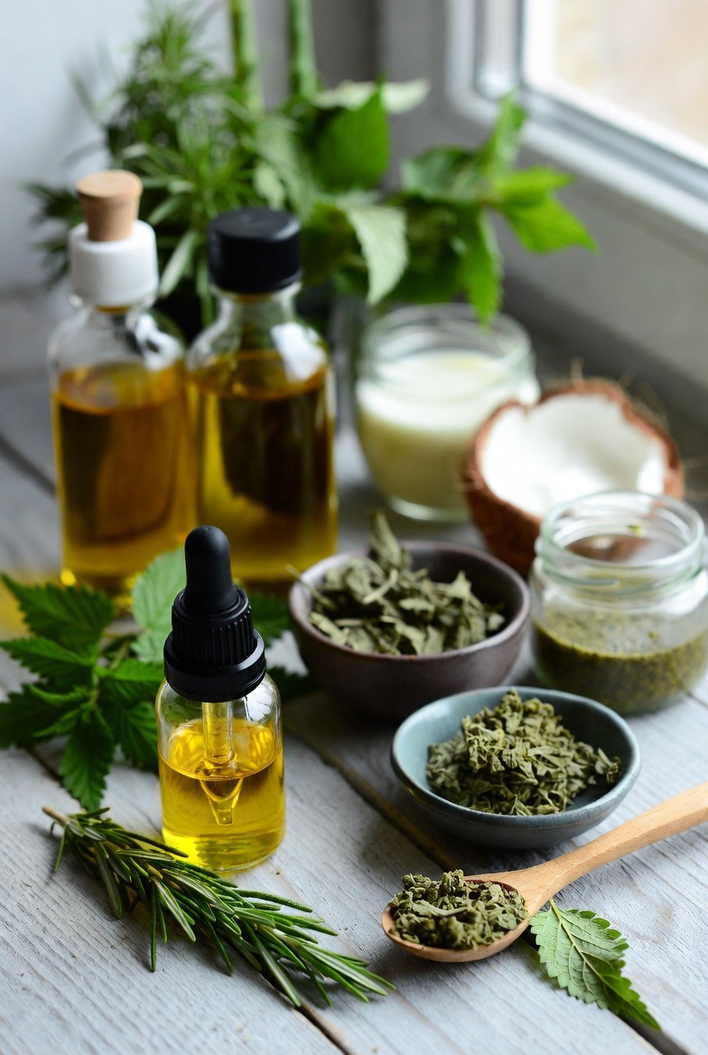 راهکارهای گیاهی برای تقویت ریشه مو و جلوگیری از ریزش