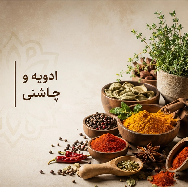 کالکشن فرش مراکشی