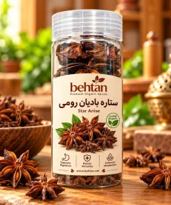 ستاره بادیان رومی